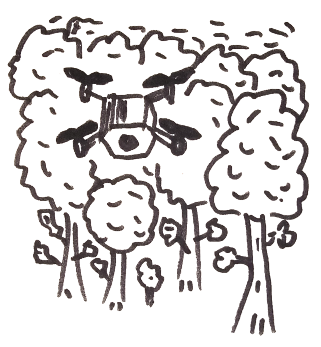 The Forest Drone