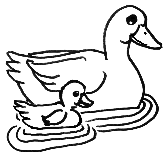 The Yellow Duckling